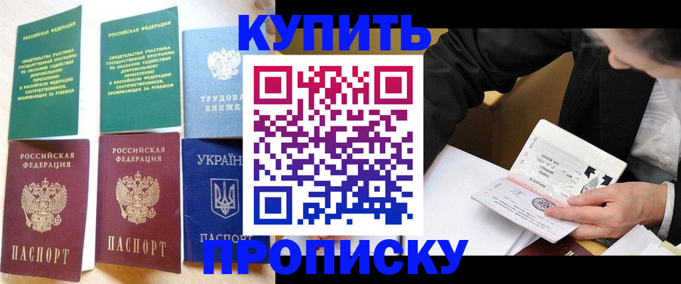 прописка для школы в Сольцах